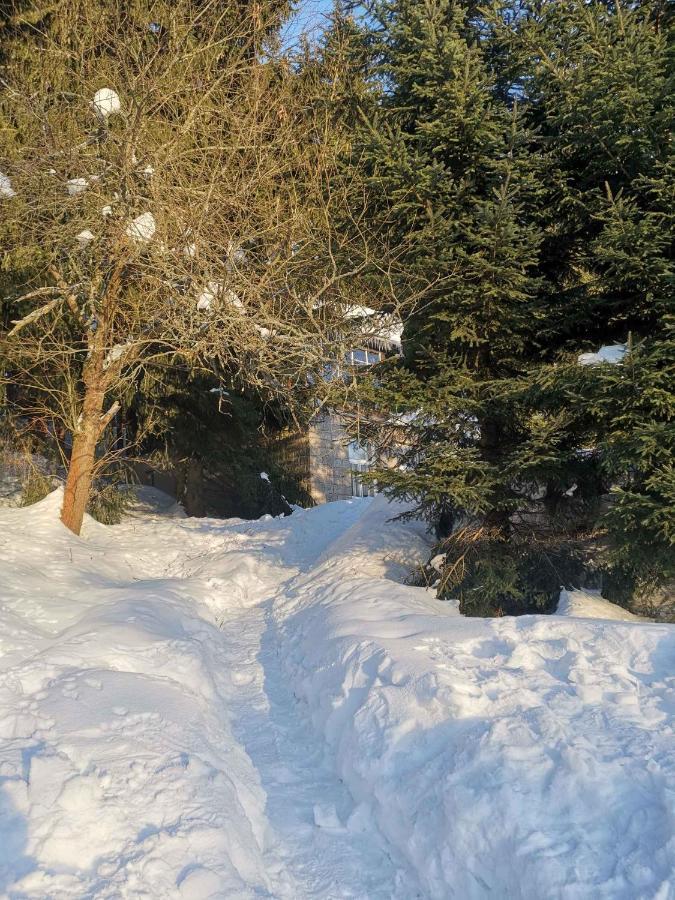 Holiday Home In Harrachov 2311 Екстериор снимка