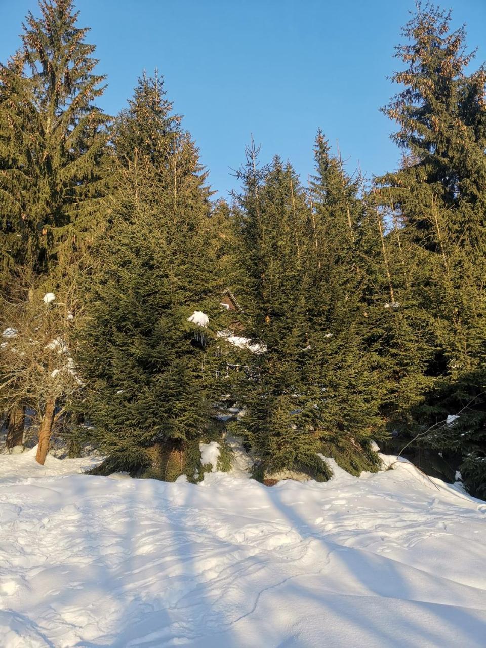 Holiday Home In Harrachov 2311 Екстериор снимка